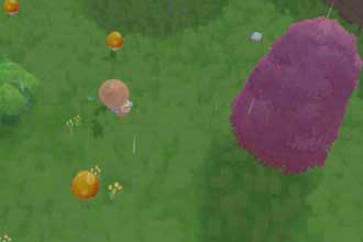 摩尔庄园手游下雨天毛毛菇在哪儿摘 摩尔庄园手游下雨天蘑菇攻略