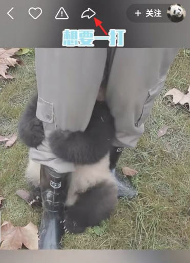 快手视频如何去掉快手号 快手视频去掉快手号方法