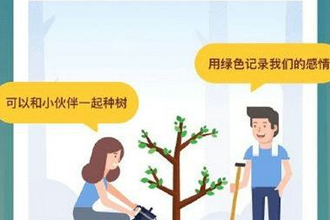 蚂蚁森林合种树在哪里 支付宝蚂蚁森林合种树怎么种