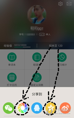知米背单词PC版