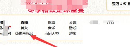 电脑怎么看各大电视台卫视的电视直播回看方法