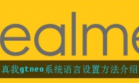真我gtneo系统语言设置方法介绍