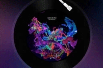 网易云音乐官方vip歌单如何看 网易云音乐官方vip歌单查看方法