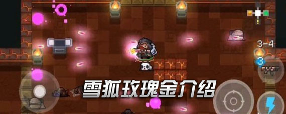 元气骑士雪狐玫瑰金怎么合成 雪狐玫瑰金属性介绍