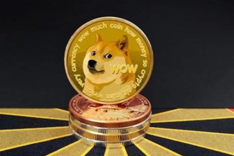 新手怎么买狗狗币？新手买狗狗币教程攻略