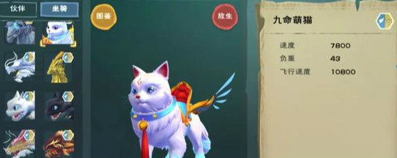 创造与魔法九命萌猫坐骑多少钱 创造与魔法九命萌猫坐骑怎么样