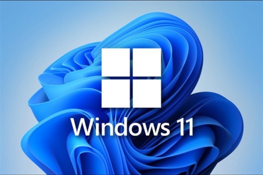 Win11不能参加预览体验计划怎么办?Win11不能参加预览体验计划解决方法
