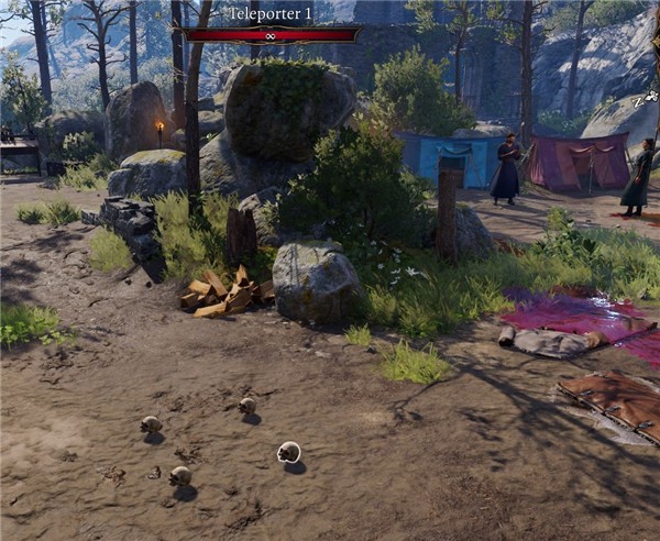 博德之门3传送头骨MOD