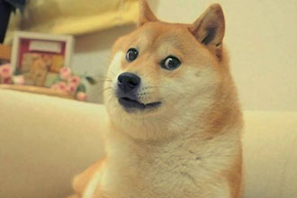 狗狗币是不是主流币 狗狗币是无限量的吗