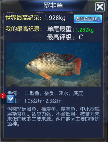 钓鱼大咖