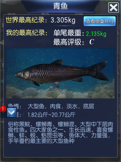 钓鱼大咖
