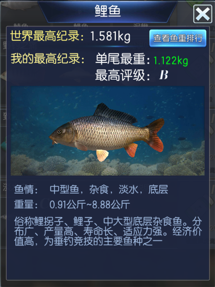 钓鱼大咖
