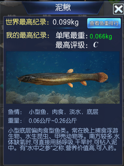 钓鱼大咖