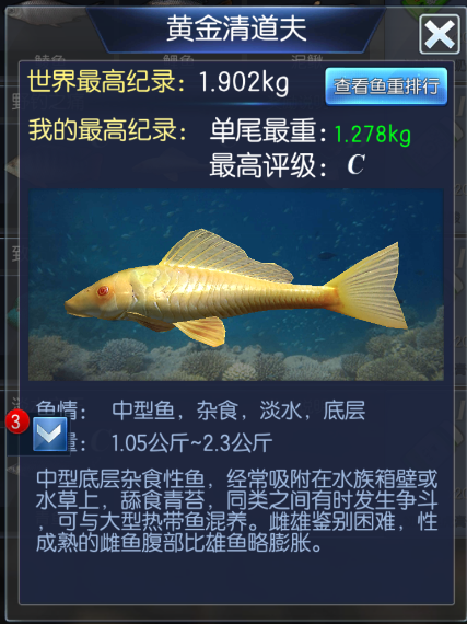 钓鱼大咖