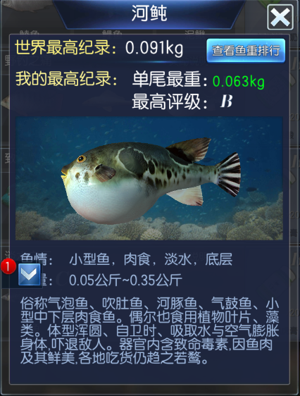 钓鱼大咖