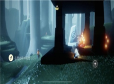 光遇荧光森林在哪里 光遇荧光森林冥想任务怎么完