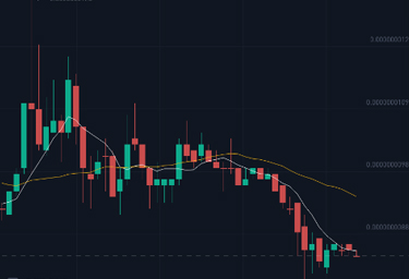kishu是什么币？哪个国家发行的？纪州犬币kishu购买教程
