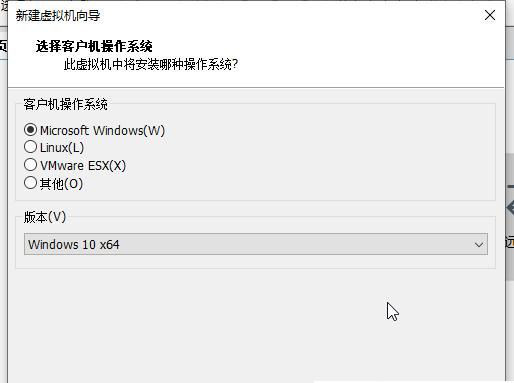 Win11安装到VM虚拟机的技巧