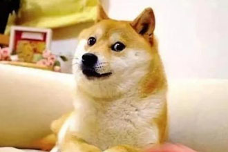 狗狗币是区块链吗 区块链狗狗币真的能赚钱吗