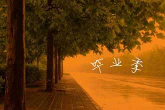 论文查重为什么收费这么贵 有免费的论文查重网站吗