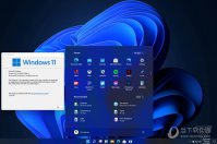 详解 Windows 11操作系统版本特征
