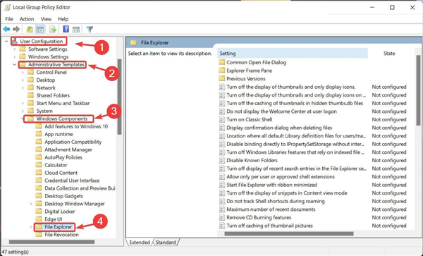 怎么在Windows11上禁用文件资源管理器搜索历史记录?