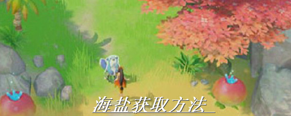 海岛纪元海盐怎么获得 海岛纪元海盐获取方法