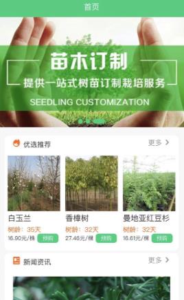 玉苗(苗木交易)