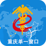 重庆单一窗口
