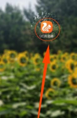 uc浏览器如何更改网页背景颜色？uc浏览器更改网页背景颜色的方法
