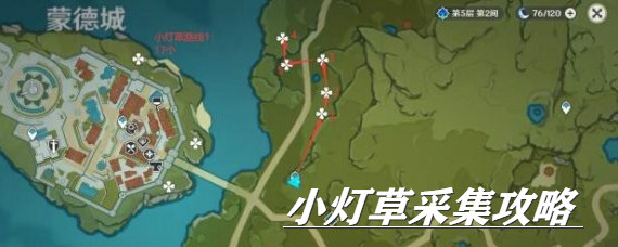 原神小灯草哪里多 原神小灯草最佳采集路线图分享