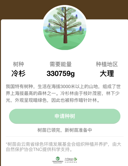 蚂蚁森林冷杉要多少克能量?蚂蚁森林冷杉有多少颗?
