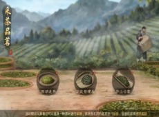 率土之滨采茶怎么通关 谷雨采茶品茗活动通关路线