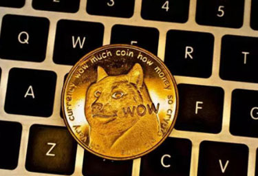 抹茶交易所狗狗币怎么买入和交易 抹茶狗狗币怎么提现人民币