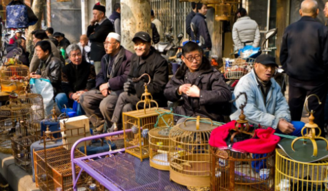 抖音西安为什么火了 抖音西安如此受欢迎的原因