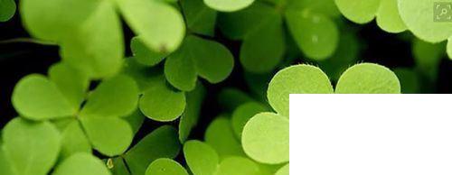 如何在优酷上传视频呢?