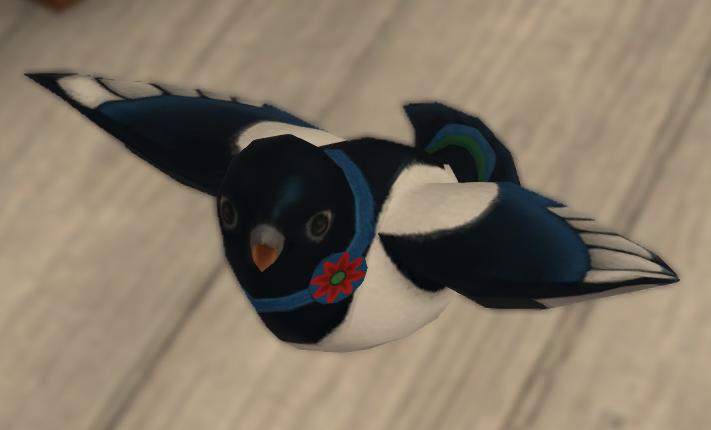 喜鹊儿app怎么换头像 喜鹊儿设置头像的方法