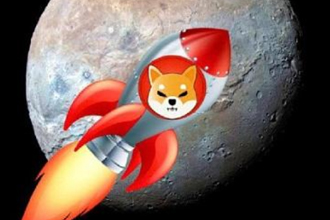 shib币未来前景怎么样？shib币能涨到多少？