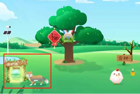 蚂蚁森林巡护有什么用?蚂蚁森林巡护地问题答案大全