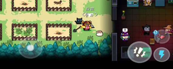 元气骑士怎么喂熊猫 元气骑士熊猫吃什么