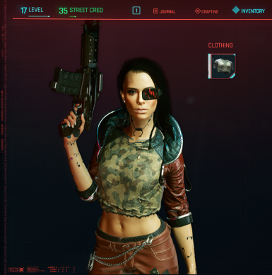 赛博朋克2077完美女战士捏脸预设MOD