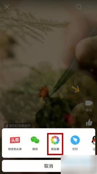 今日头条新闻怎么分享到朋友圈 今日头条分享到朋友圈的方法