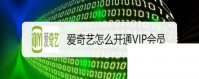 爱奇艺怎么开通VIP会员