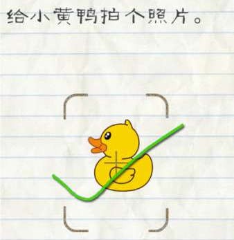 最?逵蜗?