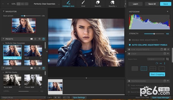 Perfectly Clear WorkBench(图像修复工具)