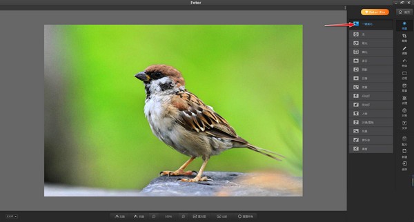 Fotor(照片优化编辑器)