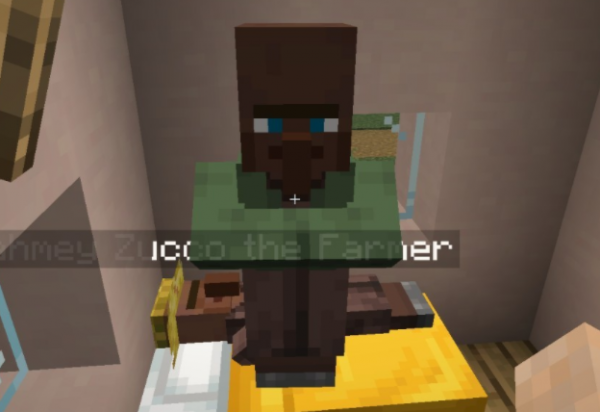 我的世界1.17.1NPC外观包MOD