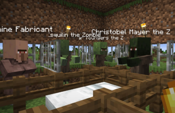 我的世界1.16.5NPC外观包MOD