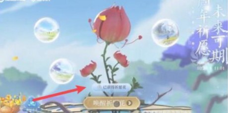 王者荣耀祈愿花怎么用 王者荣耀祈愿花活动攻略
