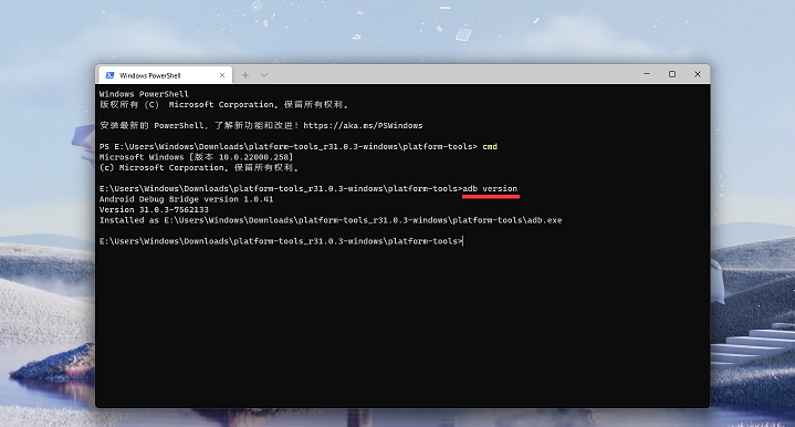 Win11安卓子系统运行超详细教程!